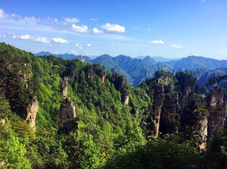 為什麼養生要保持清淨無為？