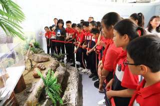 “探索自然、發現生命 ”400件古生物化石亮相成都市植物園科普館