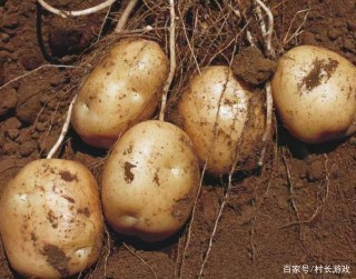 還在沉迷火星土豆種植計劃？不如來一把星際消消樂吧！