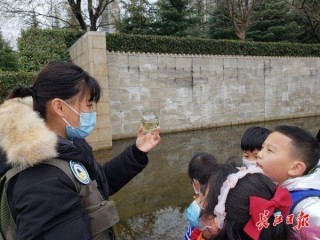 菹草是“潛水高手”、荇菜葉片圓形似睡蓮，孩子們發現水生植物的小秘密