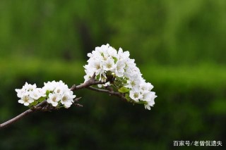 十月上旬，姻緣牽線，邂逅佳人，愛情美滿的四星座，餘生有你便好
