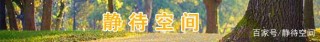 紅軍歷史上有多少支紅四方面軍？指揮官是誰？後來又是如何發展的