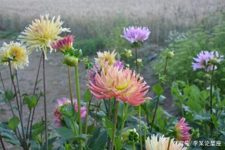 10月天降鴻福，貴人引路，好運纏身，有望添財添福添大喜的4星座