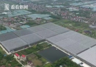 崇明：承接花博溢出效應 全域旅遊迎新機遇