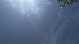 行事低調，但富有的生肖牛，屬牛的三年美滿運勢