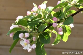 明年1月初開始，正財偏財紛紛來，撥雲見日，前途光明的4星座！