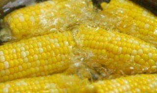 簡單美味的減肥早餐食譜 愛美的你可不要錯過