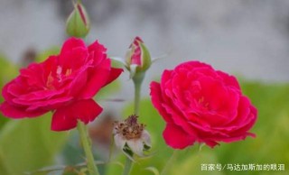 未來一個月，財富翻兩番，富貴有餘的3星座，事業功成名就