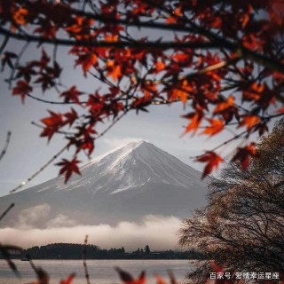 如果愛情花光了所有勇氣，哪些星座可以重頭再來？