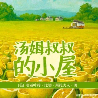 李安導演的《與魔鬼共騎》，一直沒有公映，因為與主流歷史觀不同