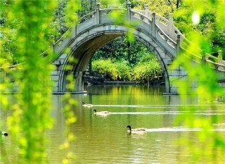 「啼鶯舞燕，小橋流水飛紅」的動人景色，如何用攝影表現出來？