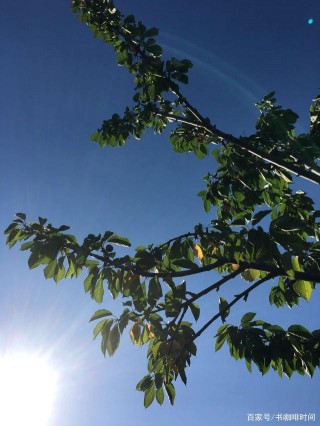 悅讀 | 玫瑰戰爭簡史：婚
