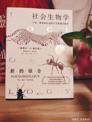 《社會生物學》：生物是否有社會性？讓這本大部頭專著告訴你答案