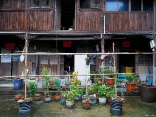 養花想盆栽土越來越肥沃，想不年年換土，隔3個月添些它就搞定