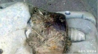西伯利亞出現神秘圓環，是史前文明留下的嗎？