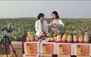 徐聞菠蘿高光走世界，“菠蘿妹妹”之後廣東還有更多的“丁真”
