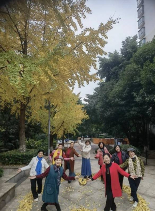 冬日裏的金色童話：重慶融僑半島銀杏葉下的溫馨時光_銀杏樹_Dancing_滿庭