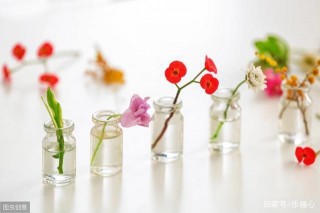 《The Biology of Belief》信念生物學：成為命運共同締造者