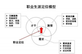 項目申報工程師的職業發展與轉型思考
