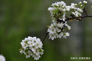 十月下旬，真情難舍，回憶停留，四個星座命中姻緣，用心挽回愛情