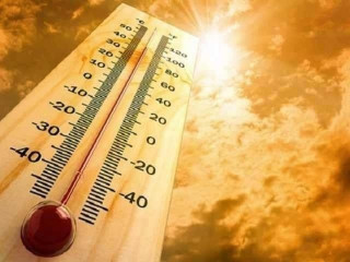 又是高溫惹的禍！阿爾及利亞60℃熱暈駱駝，地球要蒸到何時