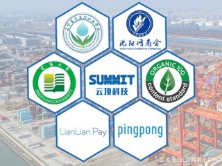 沈陽雲頂網絡科技有限公司做什麼？靠譜嗎？