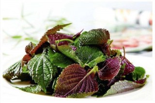 農村野草，卻不知功效多多，一斤賣10元，成烤肉必備食材