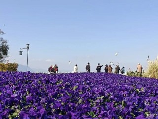 「美麗晉寧」“天然氧吧”為全域旅遊賦能