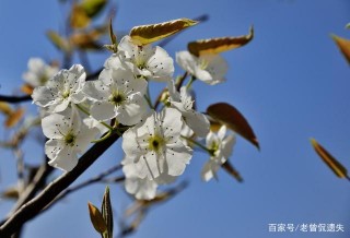 未來一周，姻緣降臨，塵埃落定，四星座不舍過往，與前任重逢再愛