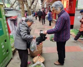 又到野菜嘗鮮時 醫生：可不要貪吃哦！