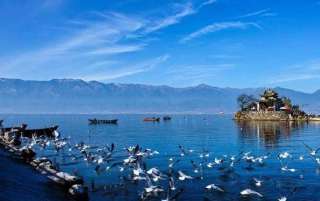 除了令人望而生畏的三亞和雪鄉，還有哪些地方適合冬季旅行？_麗江