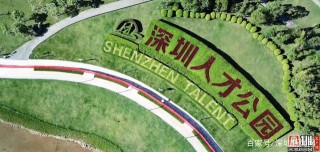 新的一年，你有什麼新的職業規劃？不如來深圳看看？