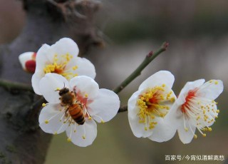 近期，回憶無聲傷人，釋懷遺憾，往後餘生不回頭的星座