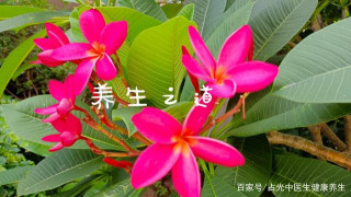 民醫高手師帶徒弟特色修改完整 怎樣才能提高到執業醫師資格？