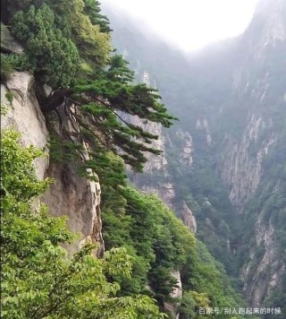 上官雲飛-清涼夏日到藍田玉山藍河景區旅遊記