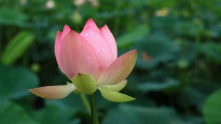 10月，吉星坐鎮，好運連連，生活幸福微微笑，財神圍你繞的星座！