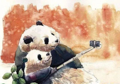 保護大熊貓從哪裏做起？專家為你解密有效策略！