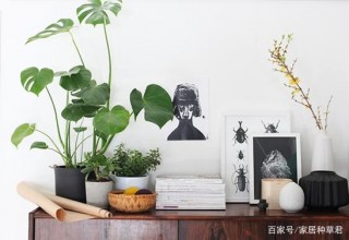 家居健康小知識分享，不要讓家居環境影響到了健康