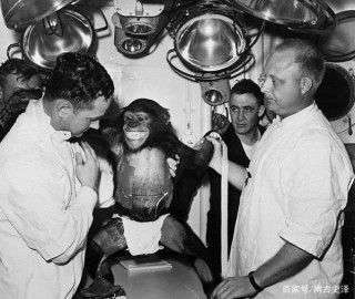 1961年，一3歲的黑猩猩被美國送往太空實驗，猩猩的結局令人痛心