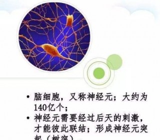 幹細胞療法對大腦及神經系統損傷的修復和再生研究進展