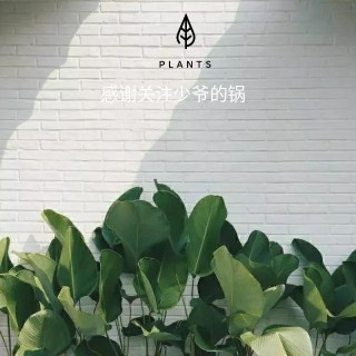 「少爺說」青山在，人未老——我對“口述歷史”的一點理解和階段性反思