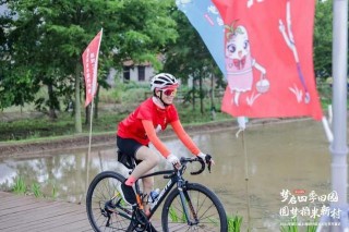 崇明新村鄉等你去稻田裏遛娃，稻米文化節開幕，帶你去稻田裏收獲知識和樂趣