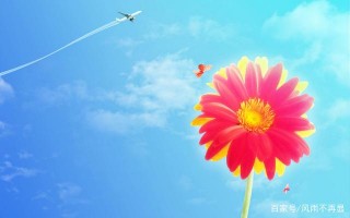 12月中旬，桃花飛落，良緣牽引，舊愛襲來，愛情回歸的4星座！