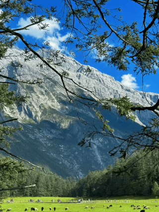 雲南遊玩五日可以去那些地方，雲南5日遊行程線路推薦_蘇蘇_昆明_文化
