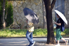 中疾控：新冠疫情已演變為常見呼吸道傳染病_中國疾控中心_科學_水平