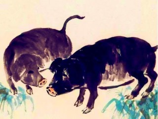大師預言：未來7天，屬豬的你「雙喜臨門」！