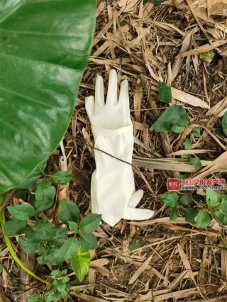 細節曝光！玉林男子殺害前妻後埋屍化糞池，轉走女方15萬去旅遊