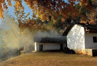 “銀杏之鄉、建築之鄉”，泰興市知名旅遊景點介紹