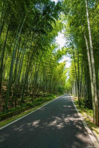 旅遊攻略：永川必打卡旅遊的景點，這幾個地方一定要去