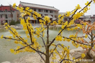 乾縣大唐小鎮，如此精心打造的旅遊景點，為什麼無人問津了？